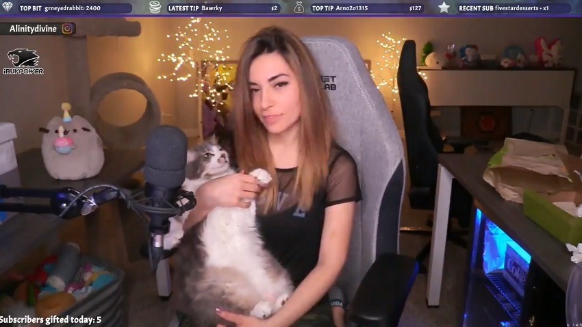 Do alinity what did Twitch Gamer