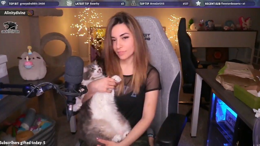 Alinity Divine Apologises For Throwing Her Cat During A Twitch Stream 