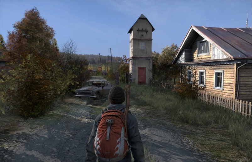 dayz