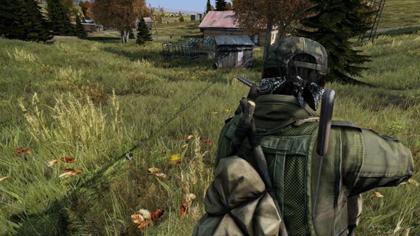 dayz