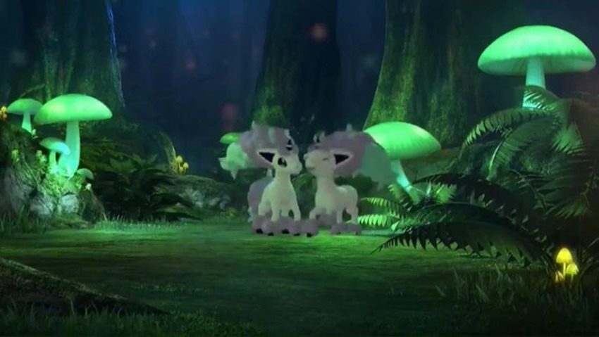 Pokemon mystery forest (1)