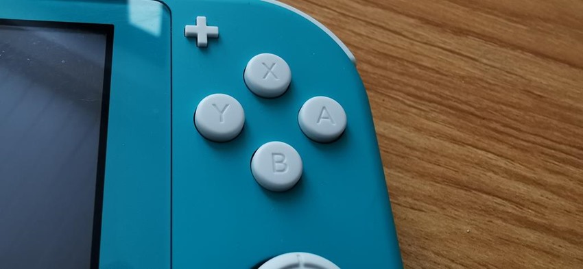 Switch Lite (4)