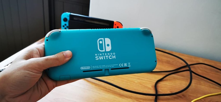 Switch Lite (5)