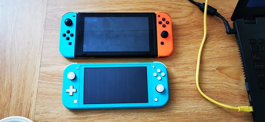 Switch Lite (7)