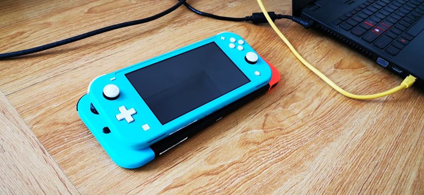 Switch Lite (9)