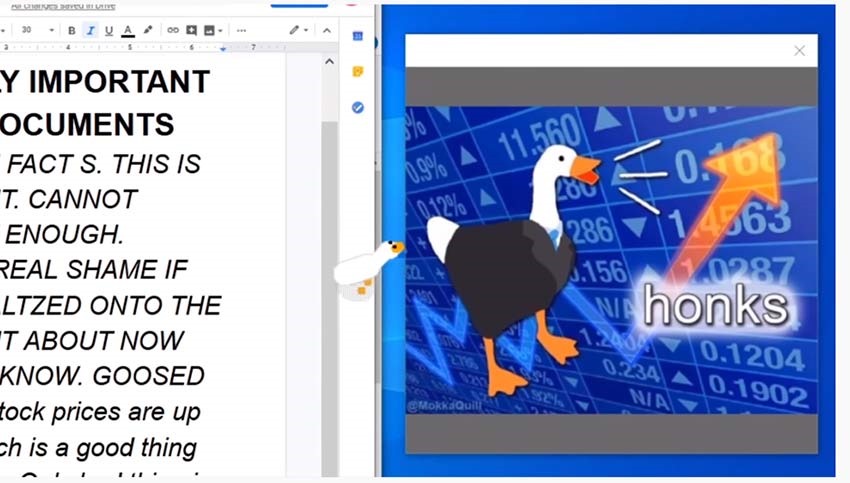 desktop goose google chrome