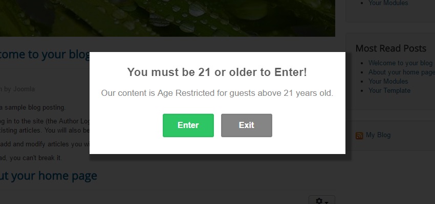 age verification popups