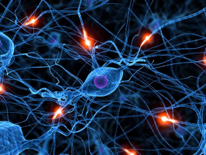 Common Causes of Nerve Damage and How to Prevent Them