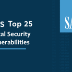 Protect Your Site with SANS CWE Top 25 Vulnerability Insights