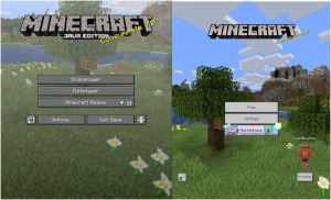 minecraft java vs bedrock