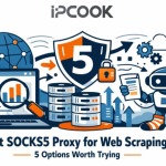 Best SOCKS5 Proxy for Web Scraping: 5 Options Worth Trying