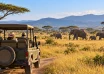 Travelers in a safari vehicle observing elephants across an open savanna.