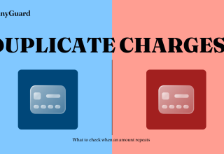 PennyGuard graphic with two payment cards and the heading Duplicate Charges.